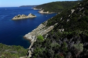 Cliquez pour agrandir